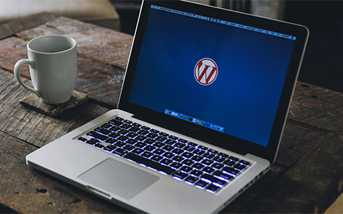ALIVE Digital Marketing | WordPress web design
